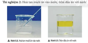 Bài 8: Sự đa dạng và các thể cơ bản của chất. Tính chất của chất Bai 8 Su Da Dang Va Cac The Co Ban Cua Chat 55786