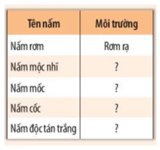 Em hãy xác định môi trường sống của một số nấm bằng cách hoàn thành Em Hay Xac Dinh Moi Truong Song Cua Mot So Nam