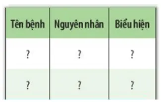 Quan sát hình 27.3, 27.4 và hoàn thành bảng theo mẫu sau Quan Sat Hinh 27 3 27 4 Va Hoan Thanh Bang Theo Mau Sau