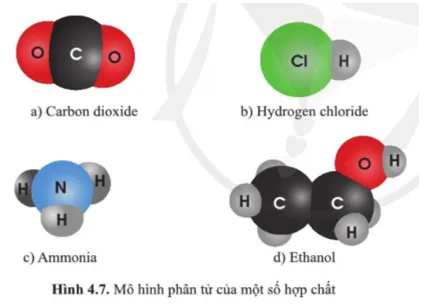 Quan sát hình 4.7 và nêu đặc điểm chung của các chất có trong hình A Sua Cau Hoi 4 Trang 31 Khtn 7 Canh Dieu 133113