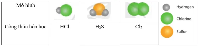 Viết công thức hóa học cho các chất được biểu diễn bằng những mô hình sau A Sua Luyen Tap 6 Trang 42 Khtn 7 Canh Dieu 133181