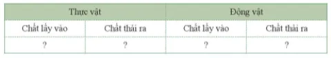 Cho các chất sau: a. Nước; b. Chất thải; c. Chất khoáng; d. Khí oxygen Cau Hoi 1 Trang 128 Khtn 7 Canh Dieu 111