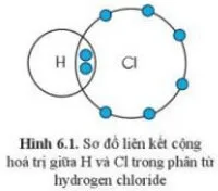 Quan sát hình 6.1, hãy so sánh hóa trị của nguyên tố và số electron mà nguyên tử của nguyên tố đã góp chung Cau Hoi 1 Trang 39 Khtn 7 Canh Dieu 133175