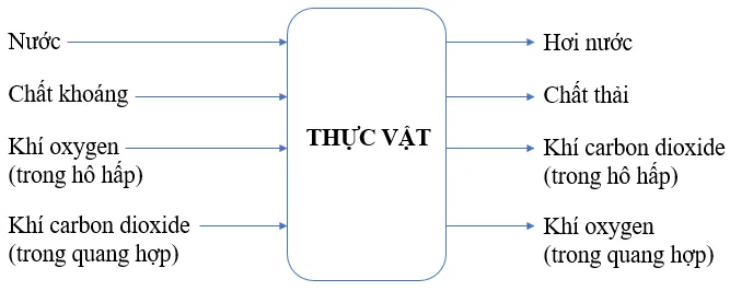 Vẽ sơ đồ khái quát về sự trao đổi chất ở thực vật và động vật Cau Hoi 2 Trang 128 Khtn 7 Canh Dieu 111