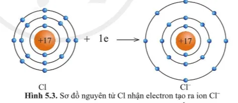 Quan sát hình 5.2 và hình 5.3, cho biết lớp vỏ của các ion Na+, Cl- Cau Hoi 2 Trang 34 Khtn 7 Canh Dieu 133118