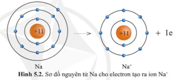 Quan sát hình 5.2 và hình 5.3, cho biết lớp vỏ của các ion Na+, Cl- Cau Hoi 2 Trang 34 Khtn 7 Canh Dieu 133119