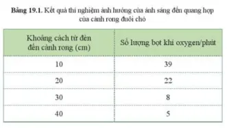 Từ kết quả trong bảng 19.1, cho biết ánh sáng mạnh hay yếu có ảnh hưởng đến quang hợp Cau Hoi 2 Trang 94 Khtn 7 Canh Dieu 111