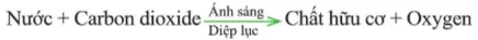 Phương trình tổng quát dạng chữ của quang hợp ở thực vật dưới đây còn thiếu những yếu tố nào? Cau Hoi 3 Trang 128 Khtn 7 Canh Dieu 112