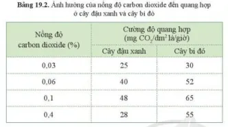 Đọc thông tin ở bảng 19.2, và cho biết ảnh hưởng của nồng độ carbon dioxide đến quang hợp Cau Hoi 3 Trang 95 Khtn 7 Canh Dieu 111