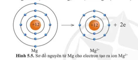 Quan sát các hình 5.5 và 5.6 cho biết các ion Mg2+ và O2- có lớp vỏ tương tự khí hiếm Cau Hoi 4 Trang 35 Khtn 7 Canh Dieu 133121