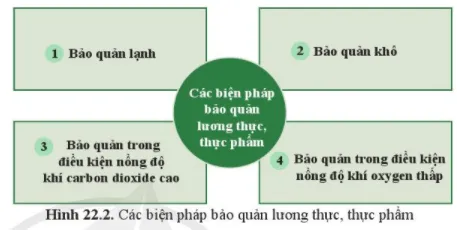 Quan sát hình 22.2, nêu các biện pháp bảo quản lương thực, thực phẩm Cau Hoi 5 Trang 106 Khtn 7 Canh Dieu 111