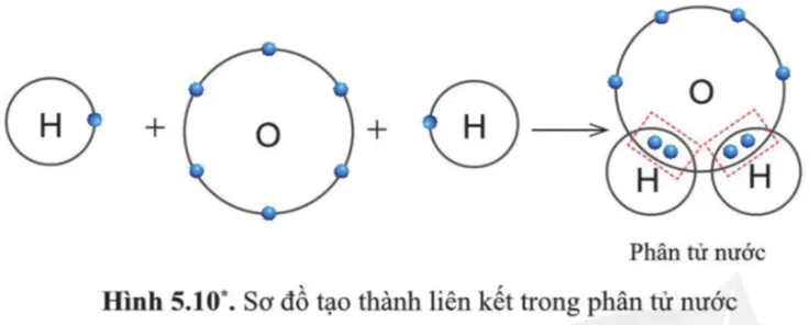 Quan sát hình 5.10, cho biết trong phân tử nước, mỗi nguyên tử H và O Cau Hoi 7 Trang 37 Khtn 7 Canh Dieu 133129