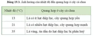 Đọc thông tin bảng 19.3, cho biết ảnh hưởng của nhiệt độ đến quang hợp ở cây cà chua Cau Hoi 7 Trang 96 Khtn 7 Canh Dieu 111