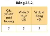 Quan sát hình 34.2, lấy ví dụ về điều khiển sinh sản ở sinh vật Cau Hoi 8 Trang 159 Khtn 7 Canh Dieu 114