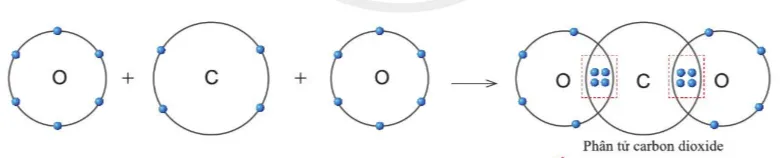 Quan sát hình 5.11, hãy cho biết trong phân tử khí carbonic nguyên tử C có bao nhiêu electron Cau Hoi 8 Trang 37 Khtn 7 Canh Dieu 133132