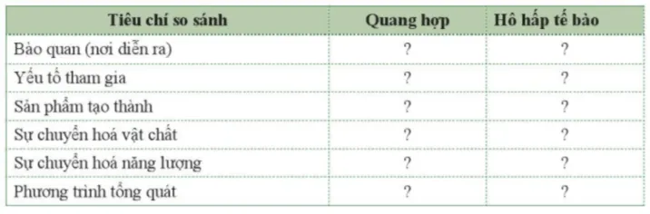 Trình bày sự khác nhau giữa quá trình quang hợp và hô hấp tế bào theo bảng Cau Hoi 9 Trang 128 Khtn 7 Canh Dieu 111