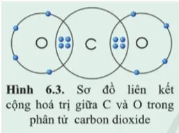 Quan sát hình 6.3 và xác định hóa trị của C và O trong khí carbon dioxide Luyen Tap 1 Trang 40 Khtn 7 Canh Dieu 133176