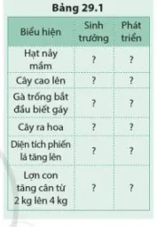 Cho biết các biểu hiện của sinh vật ở trong bảng 29.1 là sinh trưởng hay phát triển Luyen Tap 2 Trang 137 Khtn 7 Canh Dieu 111