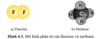 Dựa vào hình 4.3, tính khối lượng phân tử của fluorine và methane Luyen Tap 2 Trang 30 Khtn 7 Canh Dieu 133106