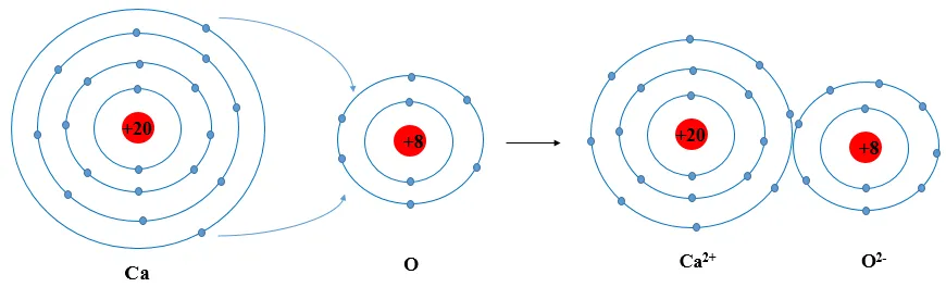 Nguyên tử Ca có 2 electron ở lớp ngoài cùng. Hãy vẽ sơ đồ tạo thành liên kết Luyen Tap 2 Trang 35 Khtn 7 Canh Dieu 133124