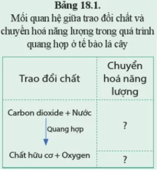 Cho các cụm từ: năng lượng ánh sáng, năng lượng hoá học Luyen Tap 2 Trang 92 Khtn 7 Canh Dieu 111