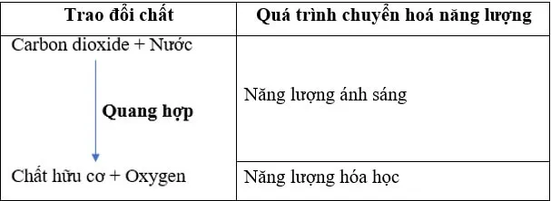 Cho các cụm từ: năng lượng ánh sáng, năng lượng hoá học Luyen Tap 2 Trang 92 Khtn 7 Canh Dieu 112