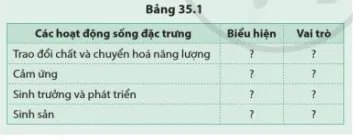 Nêu biểu hiện và vai trò của bốn hoạt động sống đặc trưng cho cơ thể sinh vật Luyen Tap 3 Trang 163 Khtn 7 Canh Dieu 111