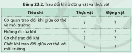 Phân biệt trao đổi khí ở động vật và thực vật theo gợi ý nội dung như bảng 23.2nhanh Luyen Tap 4 Trang 111 Khtn 7 Canh Dieu 111