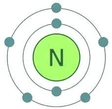 Nguyên tử nitrogen và silicon có số electron lần lượt là 7 và 14. Hãy cho biết nguyên tử nitrogen và silicon Luyen Tap 4 Trang 13 Khtn 7 Canh Dieu 132940