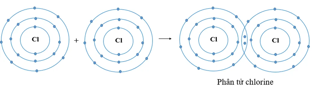 Hai nguyên tử Cl liên kết với nhau tạo thành phân tử chlorine. Mỗi nguyên tử C Luyen Tap 4 Trang 36 Khtn 7 Canh Dieu 133128