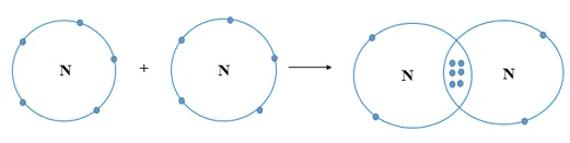 Hai nguyên tử N kết hợp với nhau tạo thành phân tử nitrogen. Hãy vẽ sơ đồ tạo thành liên kết Luyen Tap 7 Trang 37 Khtn 7 Canh Dieu 133133