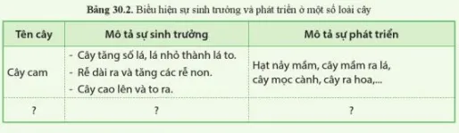 Quan sát sự sinh trưởng và phát triển của một số loài cây có ở địa phương em Thuc Hanh Trang 142 Khtn 7 Canh Dieu 111