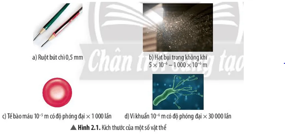 Những đối tượng nào trong Hình 2.1 ta có thể quan sát bằng mắt thường? A Sua Cau Hoi Thao Luan 1 Trang 14 Khtn 7 Chan Troi 133615