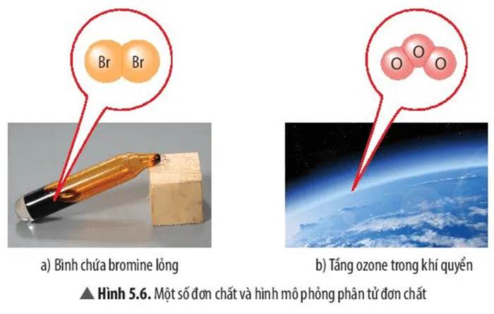 Quan sát Hình 5.6, em hãy cho biết số nguyên tử và thành phần nguyên tố A Sua Cau Hoi Thao Luan 6 Trang 34 Khtn 7 Chan Troi 133655