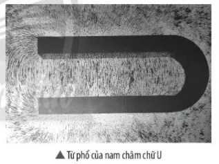 Quan sát hình bên, hãy mô tả từ phổ của nam châm chữ U Bai 2 Trang 97 Khtn 7 Chan Troi 133839
