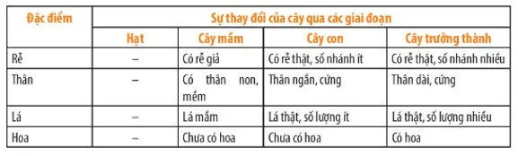 Quan sát Hình 34.1, em hãy nhận xét sự thay đổi về kích thước, hình thái Cau Hoi Thao Luan 1 Trang 155 Khtn 7 Chan Troi 1