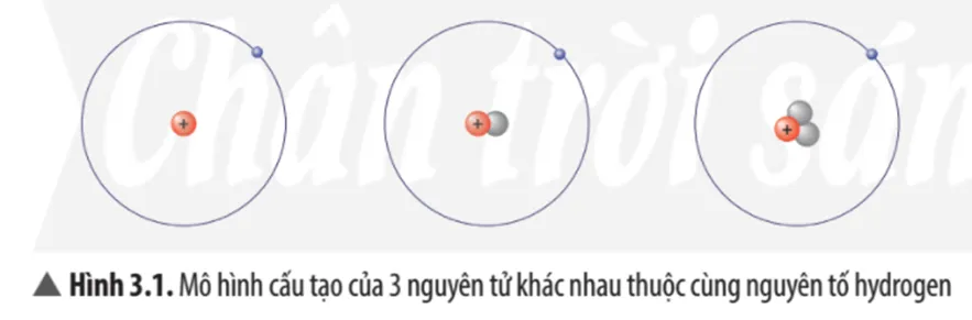 Quan sát Hình 3.1, em hãy cho biết sự khác nhau về cấu tạo giữa 3 nguyên tử hydrogen? Cau Hoi Thao Luan 1 Trang 18 Khtn 7 Chan Troi 133631