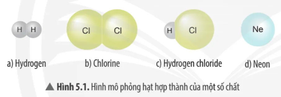 Quan sát Hình 5.1 và cho biết hạt hợp thành của chất nào được tạo từ một nguyên tố Cau Hoi Thao Luan 1 Trang 31 Khtn 7 Chan Troi 133648