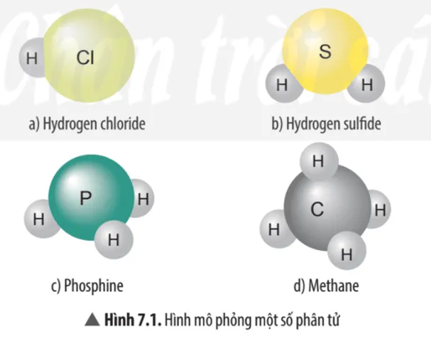 Hãy cho biết mỗi nguyên tử của nguyên tố Cl, S, P, C trong các phân tử ở Hình 7.1 Cau Hoi Thao Luan 1 Trang 45 Khtn 7 Chan Troi 133710