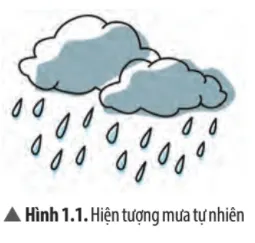 Hãy quan sát Hình 1.1 và mô tả hiện tượng xảy ra, từ đó đặt ra câu hỏi cần tìm hiểu Cau Hoi Thao Luan 1 Trang 9 Khtn 7 Chan Troi 133603