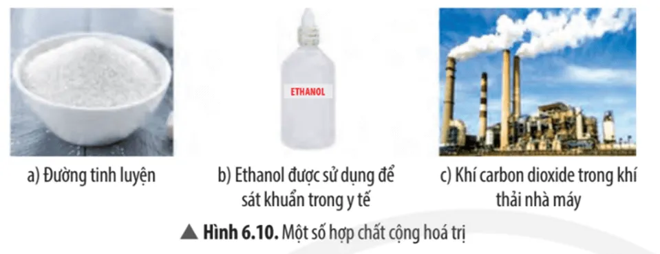 Quan sát và cho biết thể của các chất có trong Hình 6.10 Cau Hoi Thao Luan 11 Trang 42 Khtn 7 Chan Troi 133692