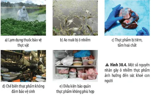 Quan sát Hình 30.4, hãy cho biết những nguyên nhân dẫn đến việc ô nhiễm Cau Hoi Thao Luan 13 Trang 141 Khtn 7 Chan Troi