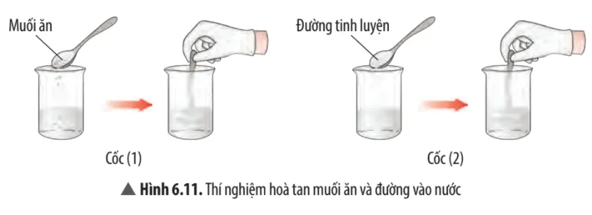 Quan sát thí nghiệm 1 (Hình 6.11, 6.12) và đánh dấu để hoàn thành bảng sau Cau Hoi Thao Luan 13 Trang 42 Khtn 7 Chan Troi 133697