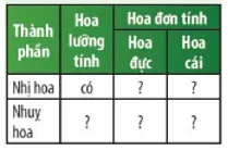 Quan sát Hình 37.13 và 37.14, phân biệt hoa lưỡng tính với hoa đơn tính bằng cách hoàn thành bảng Cau Hoi Thao Luan 17 Trang 170 Khtn 7 Chan Troi