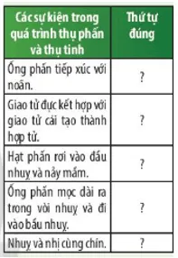 Quan sát Hình 37.15 và đọc thông tin, hãy mô tả sự thụ phấn và sự thụ tinh Cau Hoi Thao Luan 18 Trang 171 Khtn 7 Chan Troi
