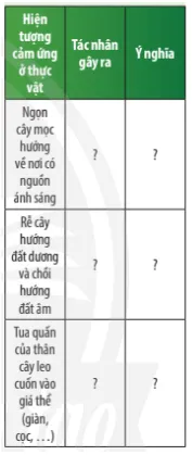 Quan sát Hình 32.3 và hoàn thành bảng theo mẫu sau Cau Hoi Thao Luan 2 Trang 146 Khtn 7 Chan Troi