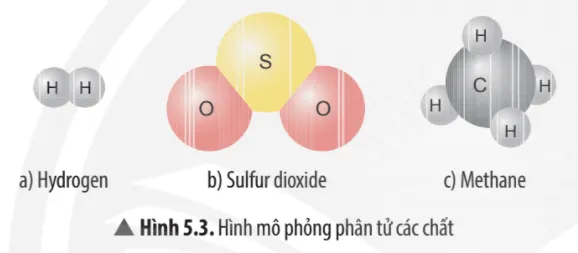 Em hãy đề xuất cách tính khối lượng phân tử của mỗi chất ở Hình 5.3 Cau Hoi Thao Luan 2 Trang 32 Khtn 7 Chan Troi 133650