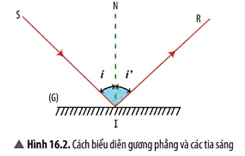 Từ kết quả thí nghiệm, hãy nêu nhận xét về: mặt phẳng chứa tia sáng phản xạ Cau Hoi Thao Luan 2 Trang 84 Khtn 7 Chan Troi 133812