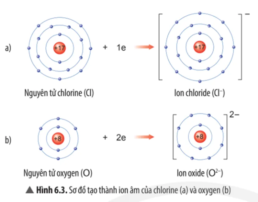 Quan sát Hình 6.3, em hãy mô tả sự tạo thành ion chloride, ion oxide Cau Hoi Thao Luan 3 Trang 38 Khtn 7 Chan Troi 133670