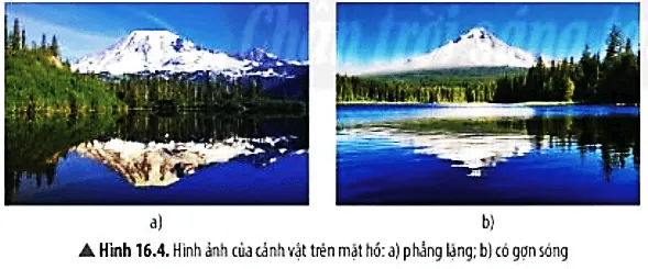 Ảnh của cảnh vật trên mặt hồ trong hai trường hợp ở Hình 16.4 khác nhau thế nào? Cau Hoi Thao Luan 3 Trang 84 Khtn 7 Chan Troi 133815